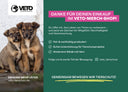 VETO-Shop Gutschein